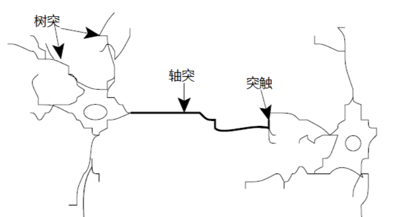 激活单元结构图